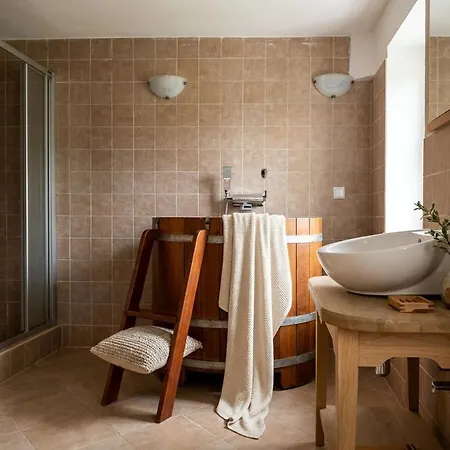 Willa Royal Tatra - Fireplace, Sauna & Bbq Zakopane